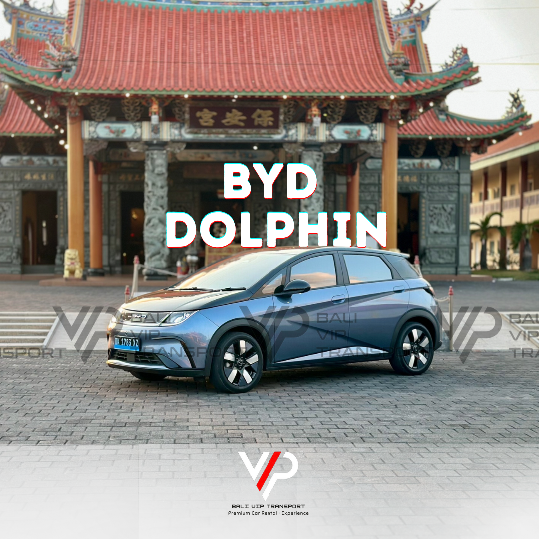 BYD Dolphin